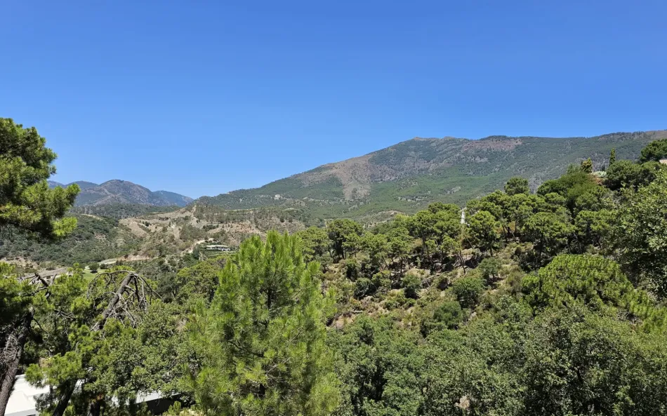 Tomt till salu i La Zagaleta, Benahavis