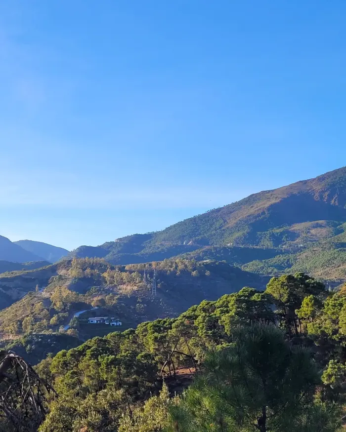 Plot for sale in La Zagaleta, Benahavis