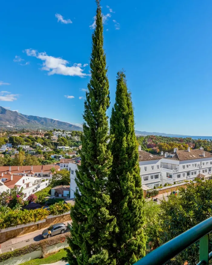 Apartamento en venta en Señorio de Aloha, Nueva Andalucia